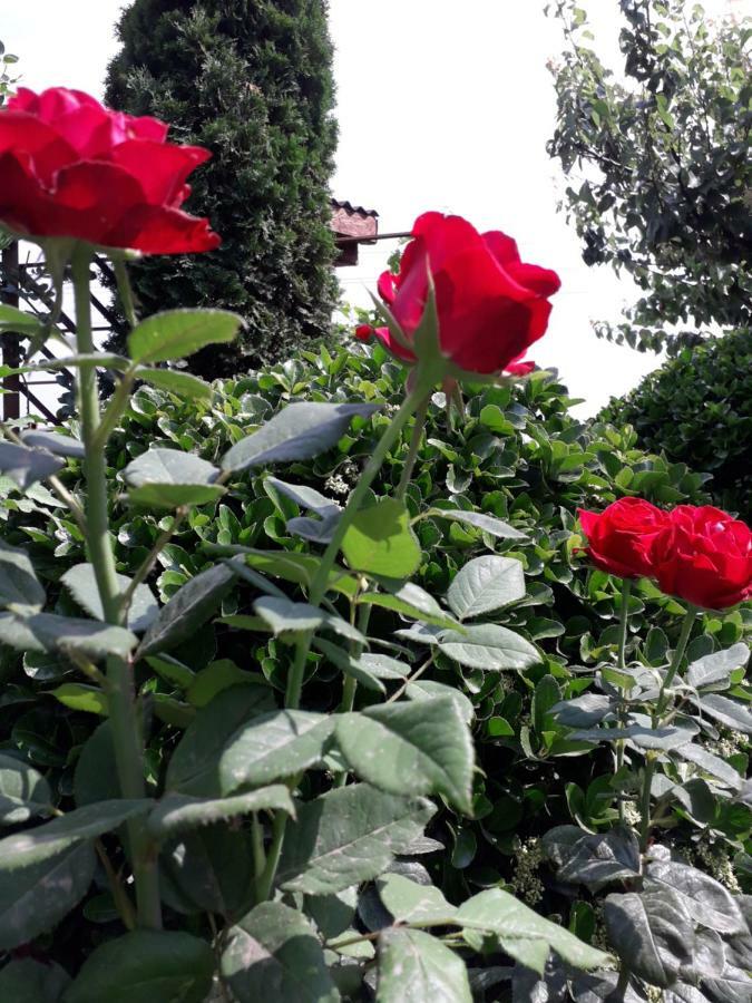 무리기올 Casa Chitu 게스트하우스 외부 사진